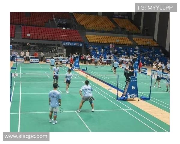 羽毛球混双世界排名解析及顶尖组合实力对比全景分析